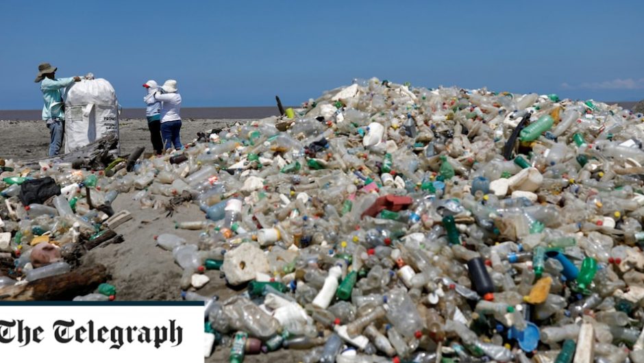 The super enzyme that eats plastic may be the key to beating pollution