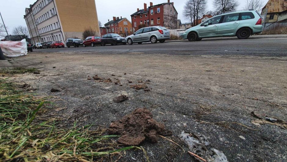 Cigarette butts, empty bottles, dog litter, no trash cans – that’s what the residents of Sopsk are complaining about