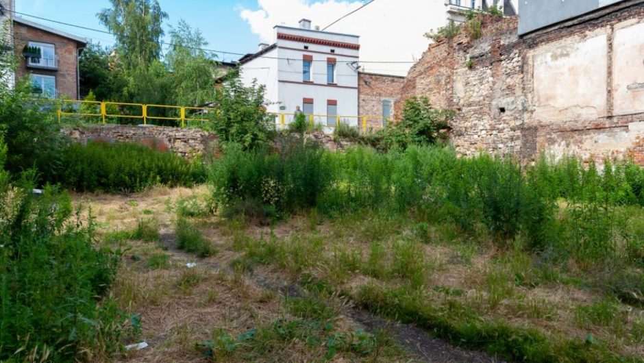 Instead of a demolished dwelling, a green area with a million zlotys will be built!